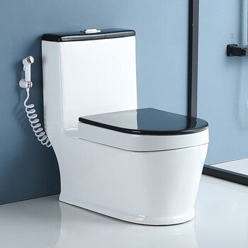 makeupoio彩色蹲坐两用马桶一体可蹲可坐虹吸座便器双用蹲便蹬厕