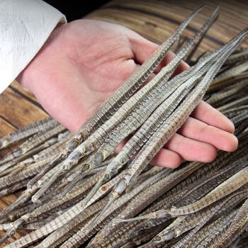 正宗六角大海龙干货公母一对海马海龙干货泡酒药材批发市场海星崇妙