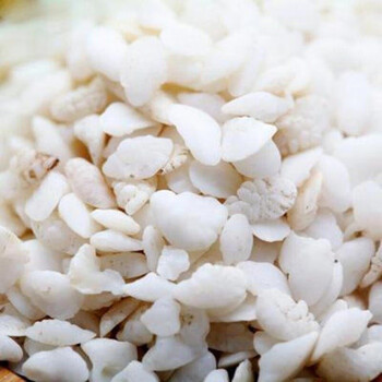 石首耳石新货鱼脑石粉鱼鱼枕骨黄鱼脑石鱼首石骨伊梵麦鱼首石骨