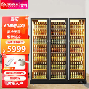 雪花 snowflk 展示柜冷藏立式冰柜商用冰箱啤酒饮料保鲜陈列柜 全面屏