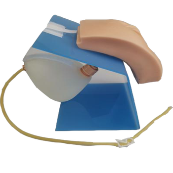 高级着装式女性导尿模型佳悦科教通h28f