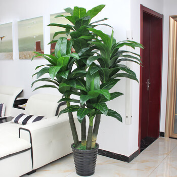 盆栽仿生发财树大型塑料假绿植客厅摆件落地假花室内装饰2米四杆状元