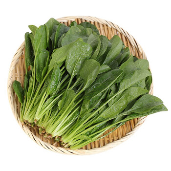 东升农场东升菠菜火锅食材约300g广州供港宁夏蔬菜新鲜配送