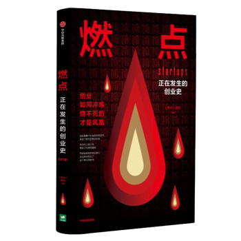 燃点(正在发生的创业史)