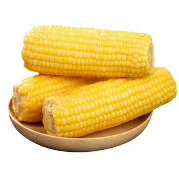 甜可果园东北甜糯玉米玉米棒即食蒸熟甜糯粘黏玉米苞米轻食代餐真空