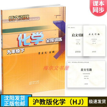 启文引路化学9九年级下学期全程训练沪教版李启文主编沈阳出版社 化学