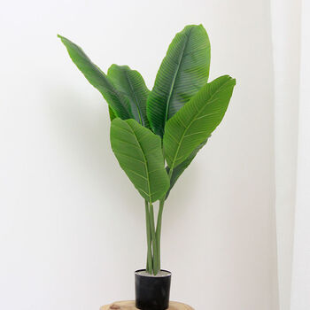 假花仿真花高档旅人蕉仿真绿植大型服装店装饰品假树假花盆栽摆设黑盆