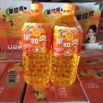 宜享健康果粒爽2升4瓶大桶果汁饮料果味果肉 4瓶两升装果粒爽