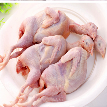 国产鹌鹑肉新鲜农家散养鲜嫩现杀速冻白条生骨肉鸟肉烧烤油炸 现杀
