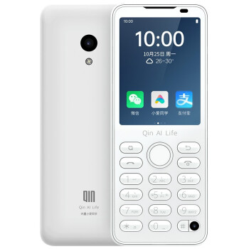 QIN F21 Proѧֻ Сͬѧ4Gȫͨ ܴ˫汾ѡ ɰɫ 4GB+64GB(ͷư棩