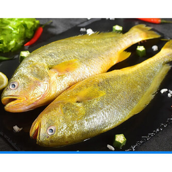 棠鲜生 大黄花鱼新鲜大黄鱼深海黄花鱼深海鱼海鲜水产 5斤装【5条装】