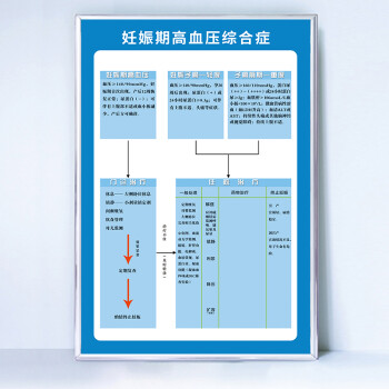 17妊娠期高血壓綜合症 40x60cm