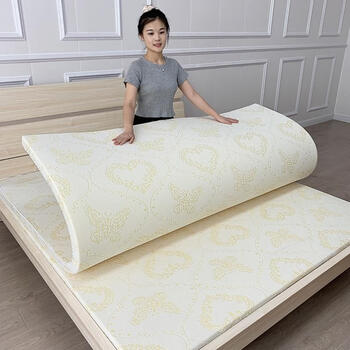 高密度海绵床垫加厚硬海绵垫子学生宿舍床垫单人泡沫床垫软垫b648cm厚