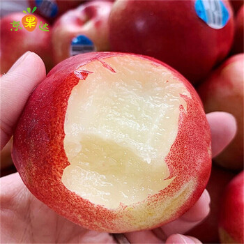 澳洲进口油桃当季新鲜水果脆甜应季小油桃整箱2斤装