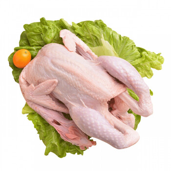 正宗三黄童子鸡2只农家散养三黄鸡净膛整鸡生鲜食材冻鸡4/5只批发