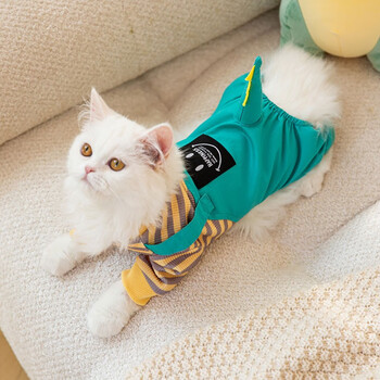 红布偶幼猫夏季蓝猫猫宠物银渐层春夏薄款绿色变身恐龙m建议体重58斤