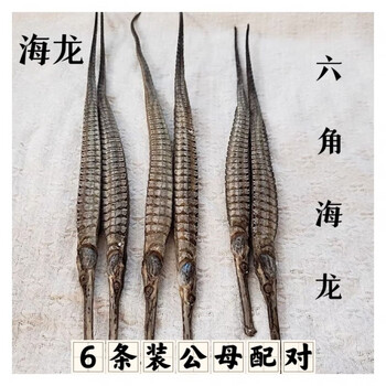 海龙干货男性公母一对泡酒六角大海龙泡酒批发市场非野生海燕海星6条