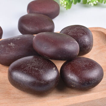 南京同仁堂原料野生阴阳子中药材木腰子肾果过江龙子泡酒料100g可搭