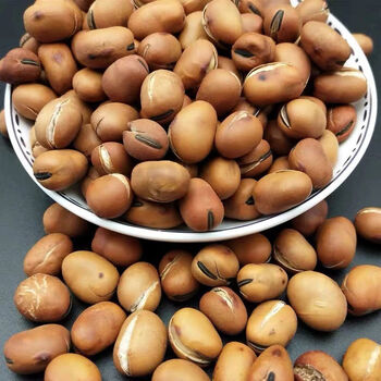 甘肃特产临夏炒大豆蚕豆手工炒大豆临夏大豆清真食品黄豆咸味2斤