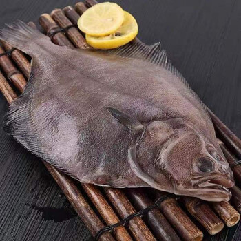 深海鲽鱼整条特大新鲜比目鱼大偏口鱼多宝鱼碟鱼每条600800g鲜活急冻2