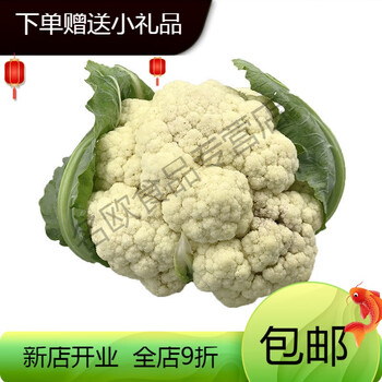 青樱红荔现摘新鲜有机松花菜花椰菜青梗白面散花菜白花菜西兰花产地直销富硒老品种团花菜2斤试吃装 纸箱 极寒 极热地区请拍泡沫箱 图片价格品牌报价 京东