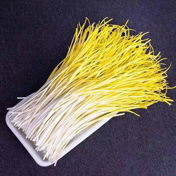 樱霞现货 蒜黄新鲜时令青菜蔬菜蒜苗大蒜幼苗农家菜现