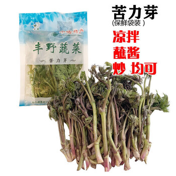 苦力芽 苦老芽苦龙芽承德山野菜 苦木 苦隆芽凉拌蘸酱含水袋装 5袋