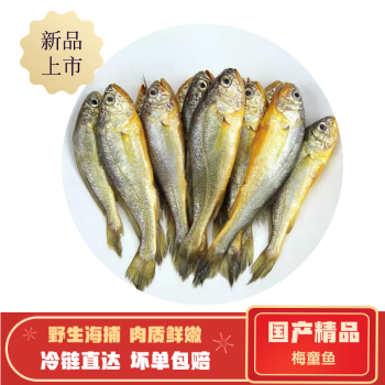碧浔泽畔旗舰店梅童鱼野生海捕梅子鱼沙中鱼大头宝东海黄海黄梅丁海鲜
