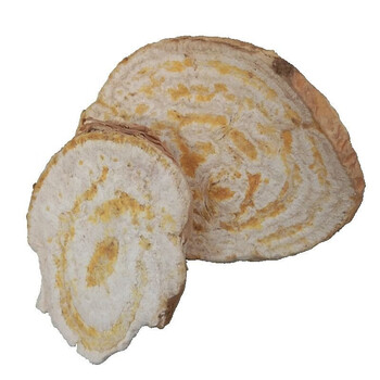 狼花毒根狼毒树根250-100克中药材狼根大戟根狼花根外用 狼毒 500 克