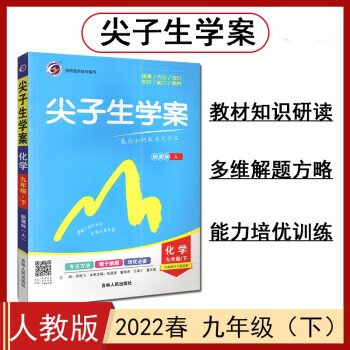 尖子生学案 九年级化学下册 人教版 2022春_初三学习资料