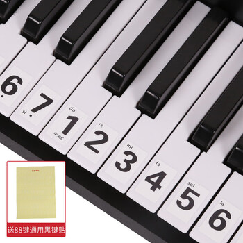 2022新款电子琴通用琴键贴 88/61/54键通用钢琴键盘贴纸电子琴手卷