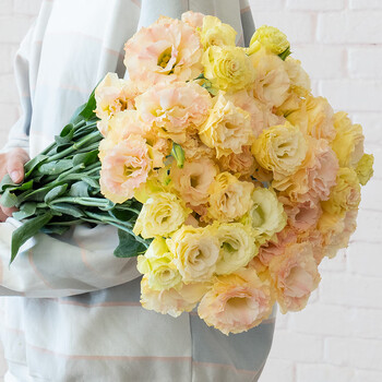 香槟洋桔梗(20-30朵)【图片 价格 品牌 报价】-京东