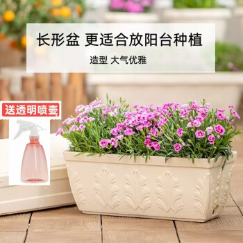 爱丽思 长方形浮雕花盆 家用室内阳台大号种菜盆加厚塑料蔬菜种植箱 长角盆-350茶色