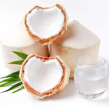 【顺丰】陌上赋 正宗泰国进口原箱香水椰奶香椰青 青椰子 树上长的水