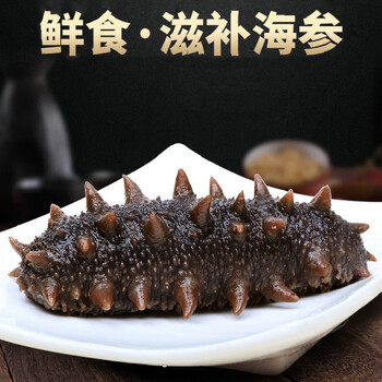 刺参真空包装非淡干海鲜生鲜海参礼盒送礼佳品鲜食大海参1斤约911头