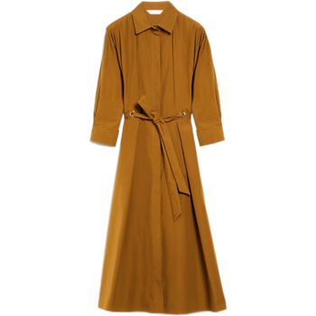 max mara麦丝玛拉2023春季新款女装衬衫连衣裙收腰款感 棕色 34