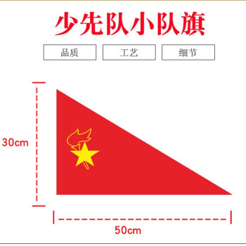 少先队旗 中国少年先锋队旗 大中小队旗手拿 小学生学校活动 小队旗