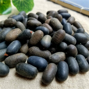 新货双肾子 石莲子 苦石莲 有果 阴果 500g