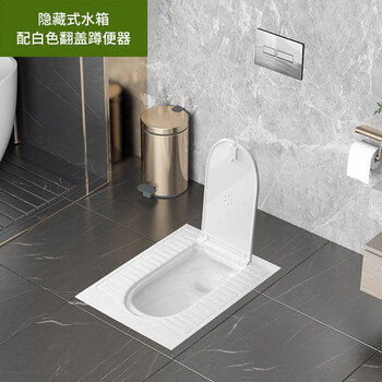 暗装水箱带盖板黑色蹲便器小户型淋浴蹲坑白色前出水带弯管手按水箱