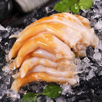 富铭士 鸟贝当天现捕现剥半斤贝类海鲜水产 400g