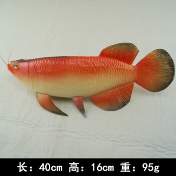 仿真鱼模型塑料金枪鱼假鱼红鲤鱼金龙鱼摆设道具海洋动物儿童玩具s