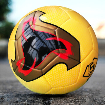 飞火流星足球足球世界杯2010南非5号足球2002飞火流星耐磨比赛专用球