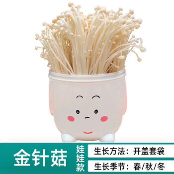 盆景室内蘑菇种植菌包菌棒家庭种植蘑菇菌包菇娃娃金针菇可爱桶粉色