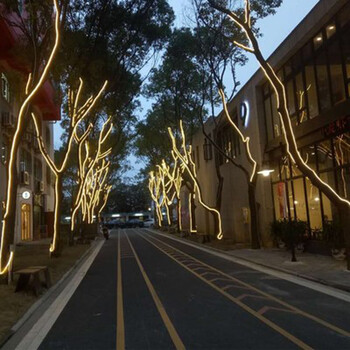 【京东好货】亮化灯带led柔性霓虹七彩变色广告造型工程亮软灯条户外