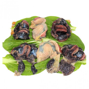 新鲜鸡胗冷冻鸡胗串鸡肫鸡胃鸡内脏5斤乌鸡珍