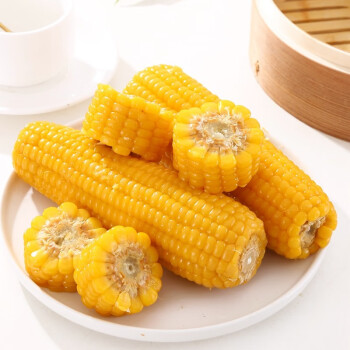 东北玉米 黄糯玉米棒苞米 新鲜粘玉米即食真空包装 健康轻食 黄糯玉米6支