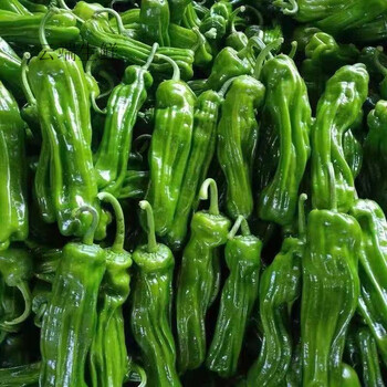 2斤辣椒【普通装】【图片 价格 品牌 报价】-京东