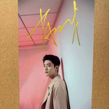 靓趣 肖战签名照 肖战亲笔签名照周边 小飞侠亲签海报 应援礼物送 6