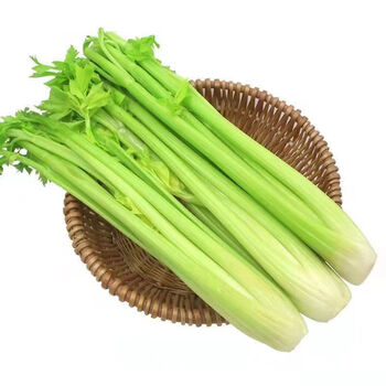 壹果万麦新鲜榨汁荷兰大西芹蔬菜西洋芹菜嫩心菜香芹 5斤装
