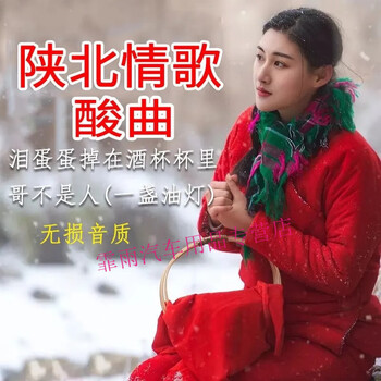 陕北民歌经典歌曲大全(陕北民歌经典歌曲大全剪树哥)